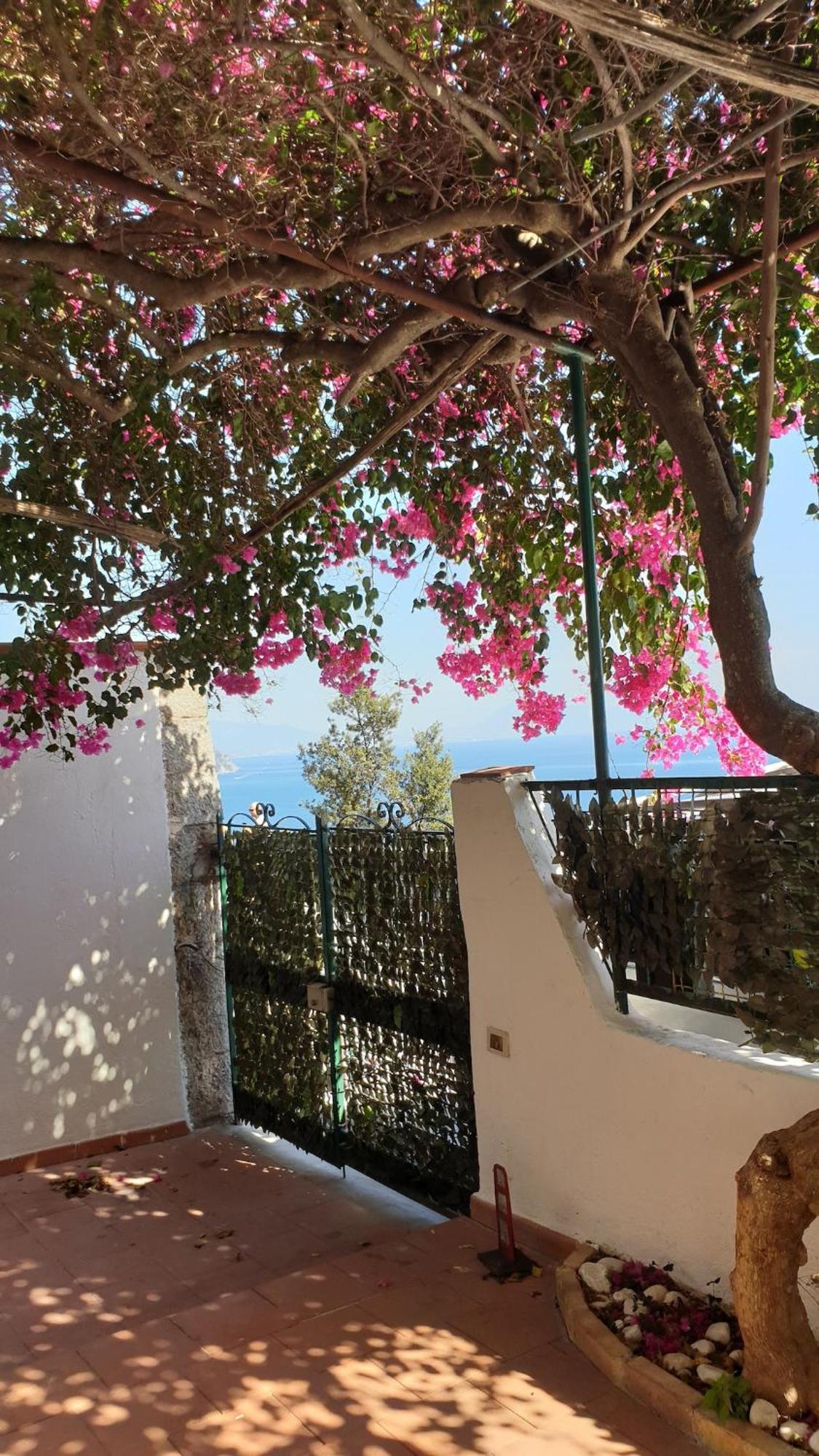 Villa Grace Amalfi Seaview Luaran gambar