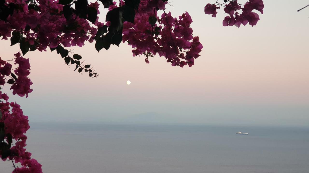Villa Grace Amalfi Seaview Luaran gambar